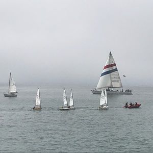 Meet your Posher, Adrienne